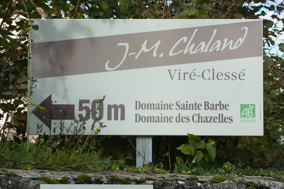 �T���g�o���u�̊Ŕ�