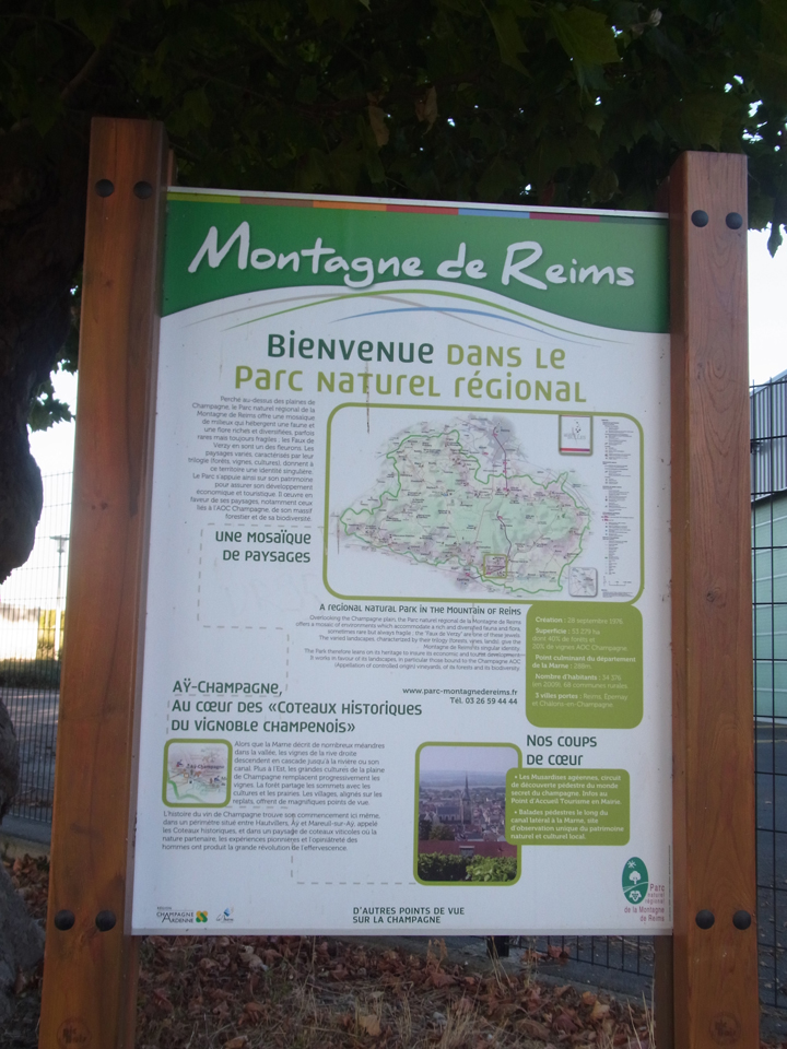 �����h���n�E�X�z�e�����H