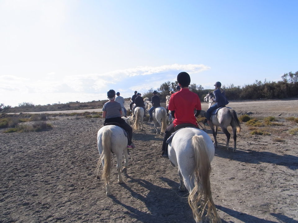 �v�����^��