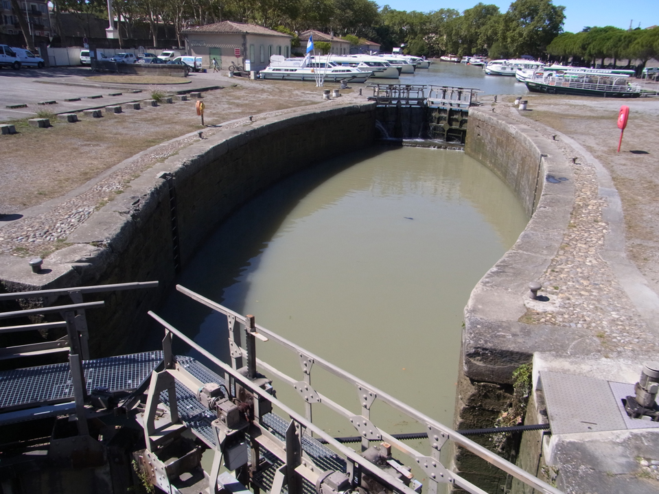 �v�����^��