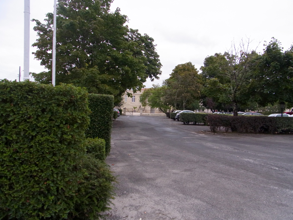 �v�����^��