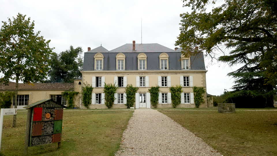 �v�����^��